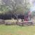 OAK & RED CEDAR SPLIT RAILS & FENCE POSTS 9 thumbnail