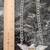 Rhinestone (Bling) EAGLE NECKLACE Silvertone 3 thumbnail