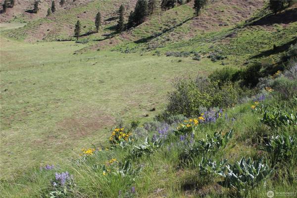 $255,000 Nahahum Canyon two 10 acre lots, shared well and driveway. (CASHMERE)63743441287939122