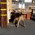 Rick's Hauling & Junk Removal  Services 619 551-9978 10 thumbnail