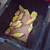 Sun Cheek Conures 3 thumbnail