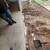 1st place $199 driveway sealcoating 8 thumbnail