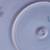 Rosie O'Neill Royal Rudolstadt 10 Inch Kewpie Plate 3 thumbnail