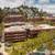 🌉 Large Team Offices @ Levi’s Plaza San Francisco – Save 50% NOW! 7 thumbnail