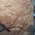 Tim Coffey Perched Bird and Dogwood Wall Hanging Art 3 thumbnail