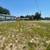 Landscaping 5 thumbnail