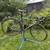 55 cm All City Nature Boy 1 thumbnail