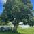 Sarasota Updated 3 Bed/2 Bath Home 23 thumbnail