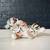Mid-Century Italian Hand Painted Ceramic Baby Tiger Sculpture, c.1970’ 3 thumbnail