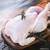 FREEZER CHICKEN SPECIAL~U.S.D.A. WHOLE,FREE RANGE CHICKEN MEAT~ 8 thumbnail