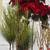 Christmas Flowers (New with Tags) 1 thumbnail