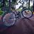 110 mpg Motorized Bicycle 5 thumbnail