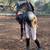 horse for sale 8 thumbnail