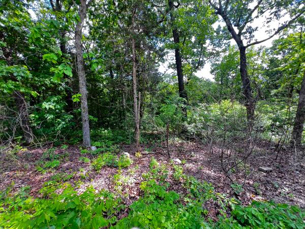 $6,500 / 9583ft2 - Acces lot into Goose Creek. (5918 Valley Dr., French Village, MO)64053025643777122
