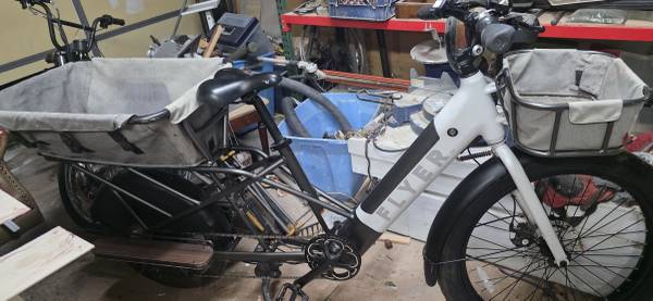 Flyer Cargo E-Bike 1