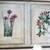 Floral Botanical Study Framed Print 2 thumbnail