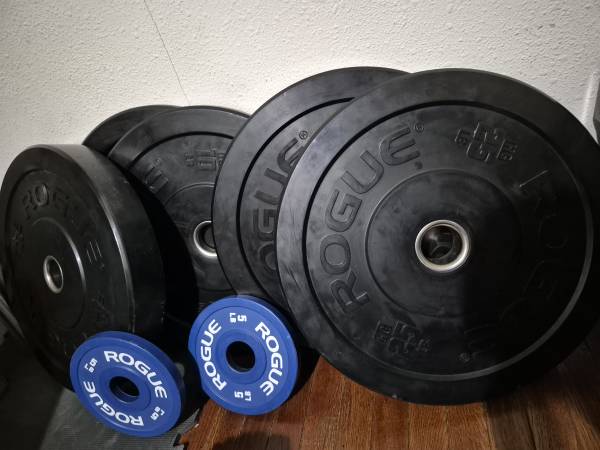 Rogue bumper weights 1