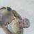 Young Man with Gourd Cast Aluminum Sculpture Antique 12 thumbnail
