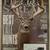 Field & Stream Magazine BUNDLE DEAL - 4 Issues 9 thumbnail