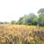 23.58 Acre Homesite For Sale - Owner Financing Available 10 thumbnail