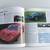 5Car Books 15 thumbnail