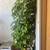 Fruit trees all kinds and sizes landscape bushes plants 20 thumbnail
