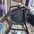 Antique Walnut Captain's Chair 5 thumbnail