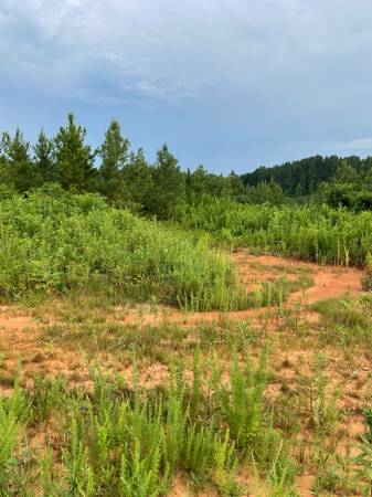 $106,500 Scenic 5-acre lot in a newly developed rural subdivision in East TN (Vonore)63815695004291121