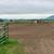 Holiday Horse Boarding Stables 3 thumbnail