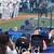 DODGERS PAINTING CLAYTON KERSHAW 17 thumbnail