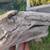 naturally character formed driftwood 3 thumbnail