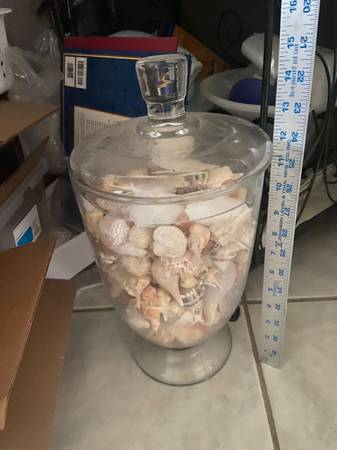 100+ MINIATURE/SMALL SEASHELLS IN COVERED VASE 1