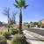 LANDSCAPING YARD CLEAN UPS AND TREE TRIMMING AVAILABLE IN ALL LASVEGAS 3 thumbnail