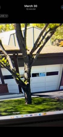 Older Wood Garage Door. 1