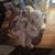 Miniature shih-poo puppies 3 thumbnail