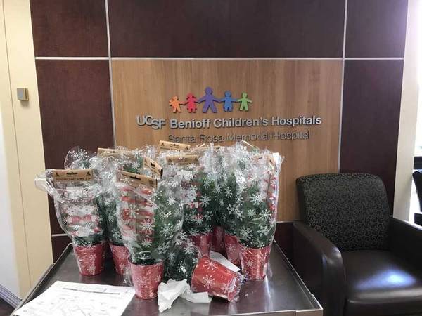 Flores para una causa busca voluntarios para recoger flores (santa rosa)63799790632577122