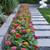 🇺🇸☘️🌴LOBOS LANDSCAPING LLC🇺🇸🏜🌳🌴🌲 20 thumbnail