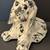 Adorable Cocker Spaniel Puppy Dog Planter Vintage Black White 1 thumbnail