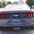2019 Ford Mustang EcoBoost 2dr Fastback 10 thumbnail