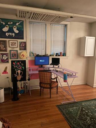 $850 / 1br - Garden unit in Lincoln Park Apartment (Lincoln Park)63844191752193121