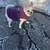 Part-Time Pet Sitter | Evenings & Weekends | Marlborough Area 7 thumbnail
