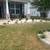 Lawn care and Landscaping services 7 thumbnail
