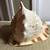 Large 9 1/2 Inch Conch Shell 2 thumbnail