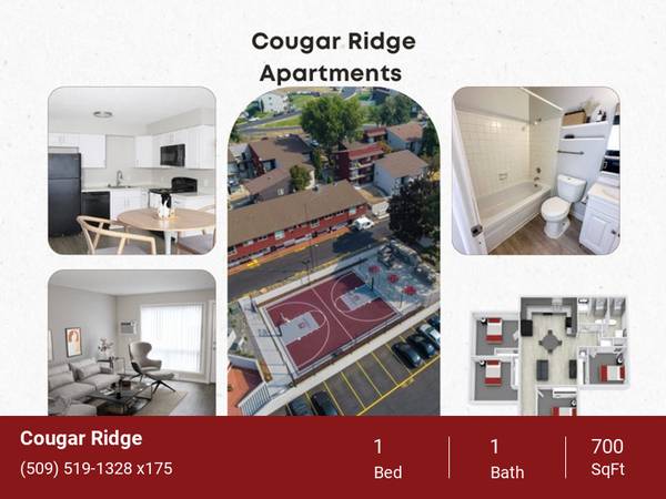 $1,120 / 1br - 700ft2 - Green Space, Yoga Room, Pay Rent Online (2024 NE Terre View Dr. Pullman, WA. 99163)63980822411267121