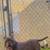 Exotic bully 2 thumbnail