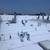 ROOFS of ART- Licensed Roofing Contractor (818)-813-2585 15 thumbnail