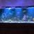 Aquarium and Pond Maintenance and supplies 3 thumbnail