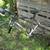 Quintanana Roo kilo Roed Bike 2 thumbnail