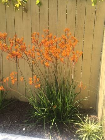 $1,950 / 1br - 535ft2 - Great Location, Heated Pool, Move in Special $500.00 off first month63800711803137122