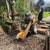 Landscape removal with BOBCAT Tractor, Sod Cutting, Stump Grinding 7 thumbnail